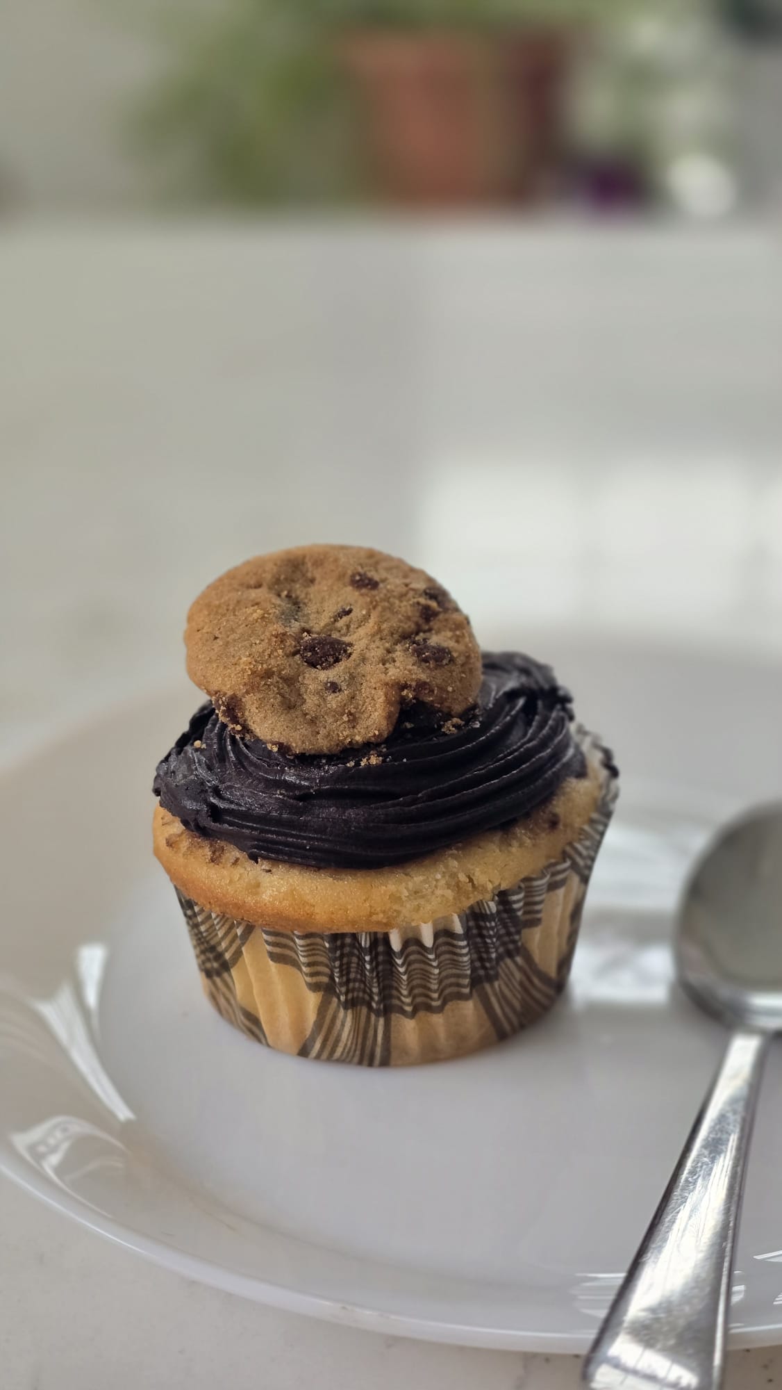 Vanilla Cupcake with chocolate frosting topped with a choc chip cookie Vanilla Cupcake with chocolate frosting topped with a choc chip cookie