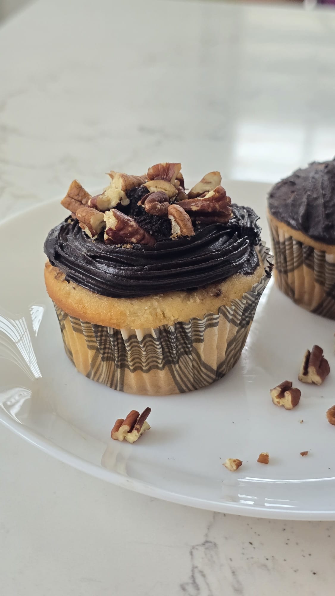 Vanilla cupcake with Choc frosting and pecans Vanilla cupcake with Choc frosting and pecans