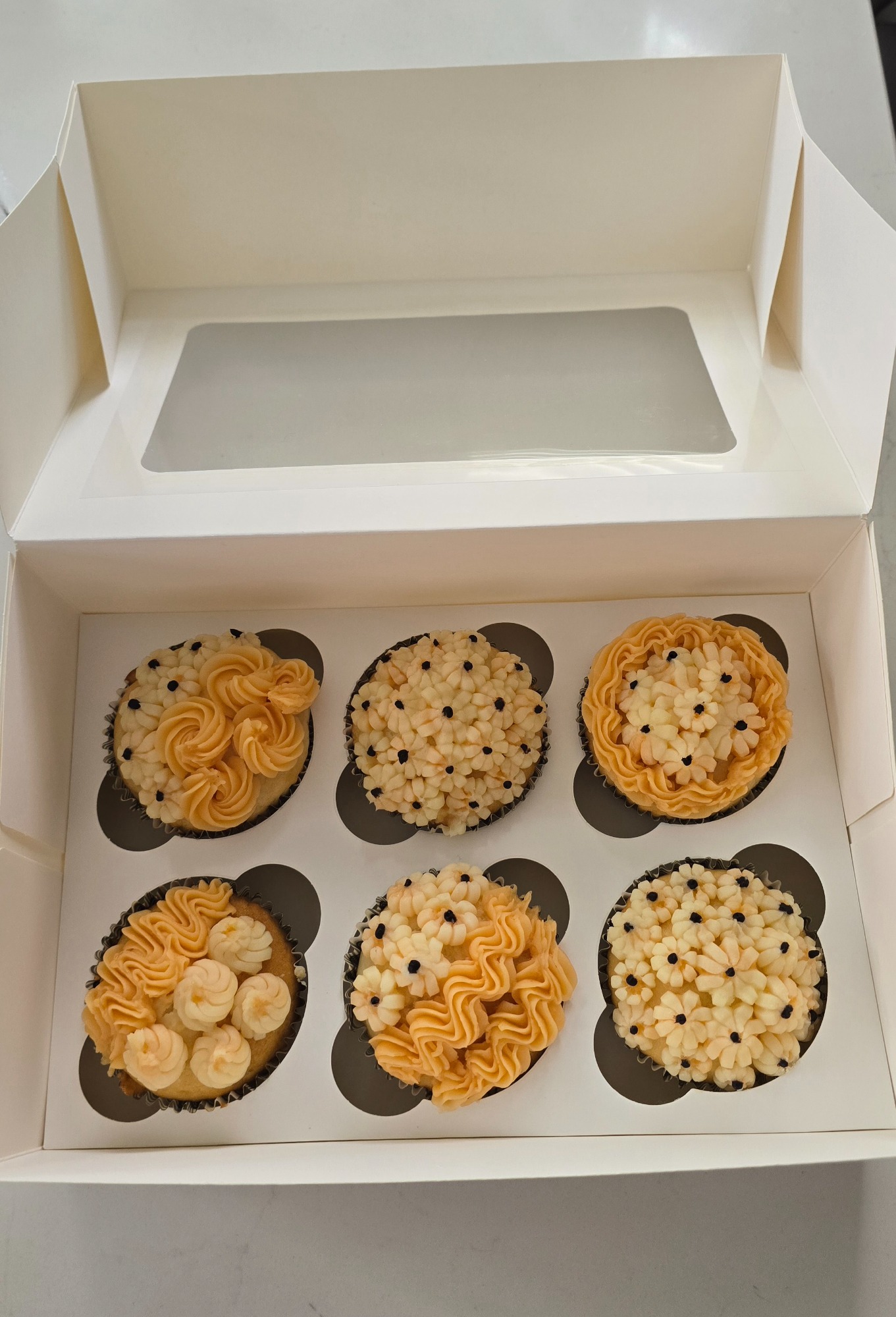 Box of 6 Regular sized Cupcakes Box of 6 Regular sized Cupcakes