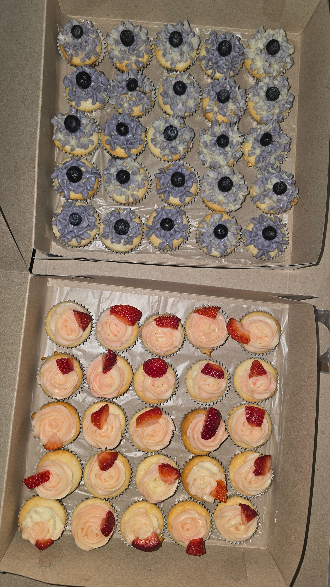 Blueberry and strawberry mini cupcakes Blueberry and strawberry mini cupcakes